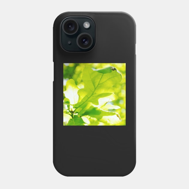 Oak Leaves in Sunlight Phone Case by hextrovert