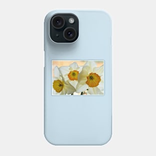 Narcissus 'Sempre Avanti' Div. 2 Large-cupped Daffodil Phone Case