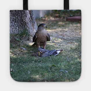 Bad Day To Be A Mourning Dove - Closeup of Falcon Tote
