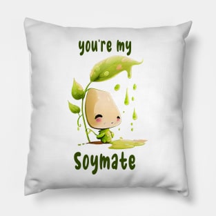 You Are My Soulmate Valentine's Day Pun Pillow