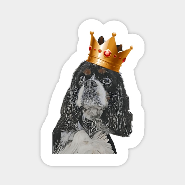 Walter the cavalier king charles spaniel Magnet by Walters Mom