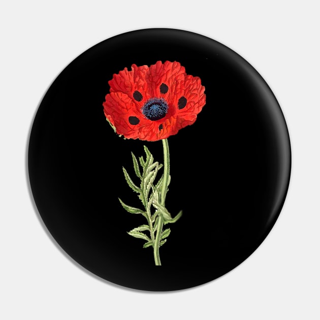 RED POPPY IN BLACK Pin by BulganLumini