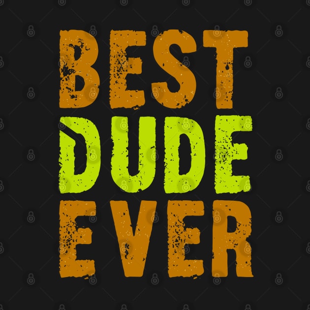 Best Dude Ever Colorful Distressed Grunge Design by TF Brands