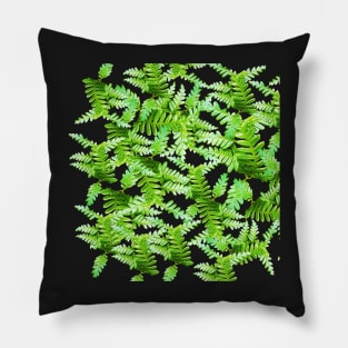 Fern Fronds en Masse Pillow