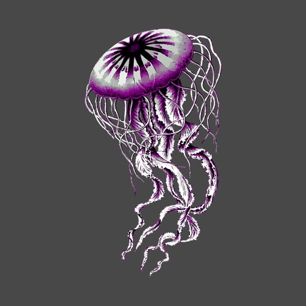 Asexual Pride Jellyfish by VernenInk