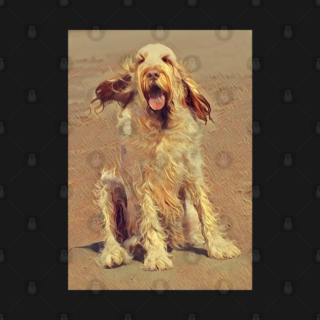 Sitting on a Beach Spinone by heidiannemorris