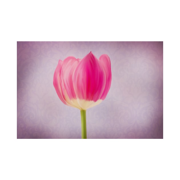 Painted Tulip by StacyWhite
