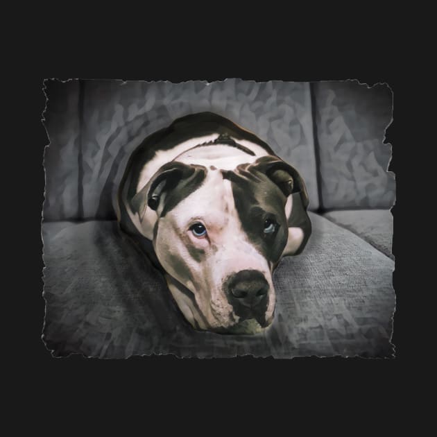 Loveable Pit Bull With Blue Eyes by PhotoArts