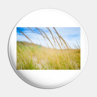 Abstract effect Marram grass blowing in wind.  imagine this on a  card or gracing your room as wall art fine art canvas or framed print on your wall Pin