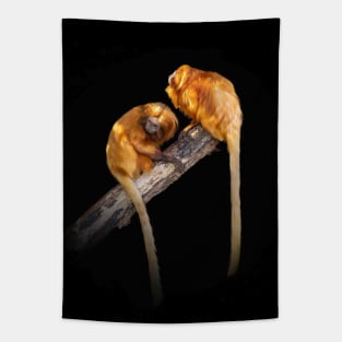 Tamarin Golden Lion Monkey Animal Wildlife Jungle Nature Free Adventure Discovery Tapestry