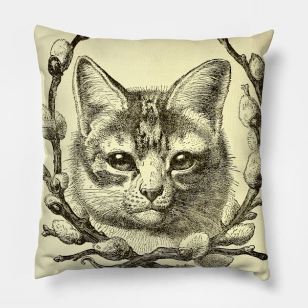 Antique Cat Pillow by bluespecsstudio