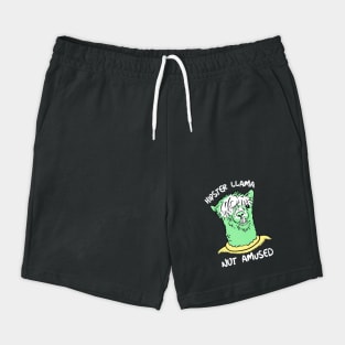 Hipster Llama Not Amused Shorts