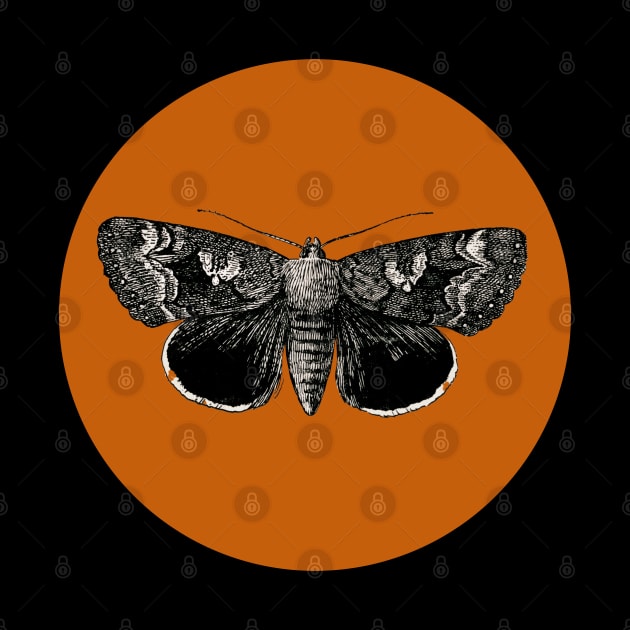 Halloween Moth, Signs and Symbol, Portents and Fortunes - Pumpkin Orange and Black Variation by SwagOMart