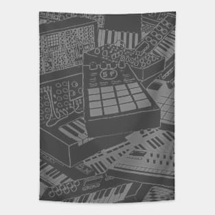 Synthesizers and electronic music instruments for musician Tapestry