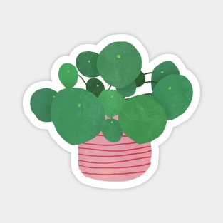 pilea interior plant Magnet