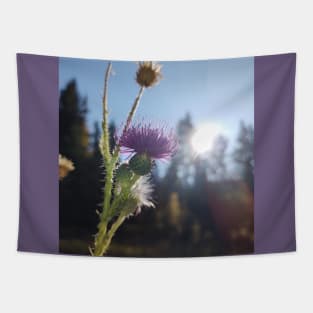 Thistle Tapestry