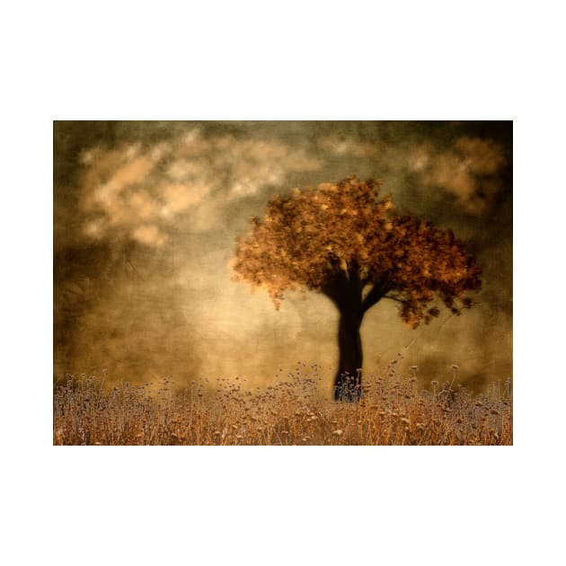 Lone Tree In Autumn by JimDeFazioPhotography