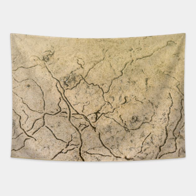 Sand Texture Tapestry by textural