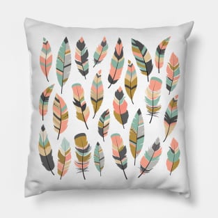 Feathers in Color Pillow