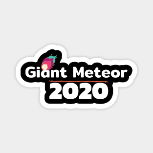 Giant Meteor 2020 Magnet