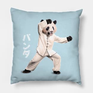 Kung Fu Pillow