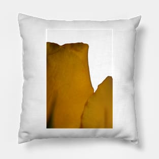 Yellow Rose Macro Pillow