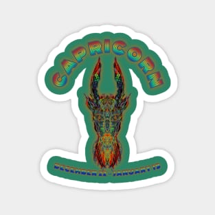 Capricorn 4b Seafoam Magnet