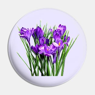 Purple Crocuses Pin