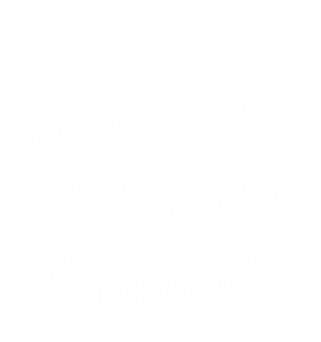 Fairy Tale Honeymoon in Progress Magnet