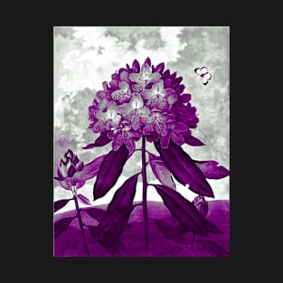 Asexual Pride Flowers and Butterflies Art T-Shirt