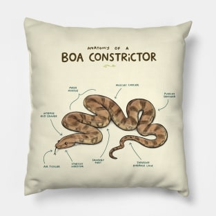 Anatomy of a Boa Constrictor Pillow