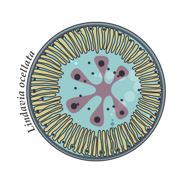 Diatom - Lindavia ocellata (scientific) by DiatomsATTACK