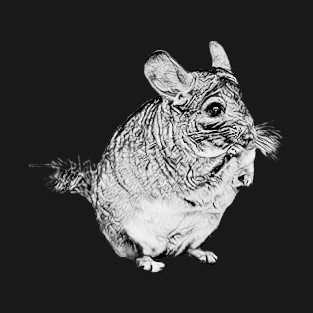 Chinchilla by Simpee