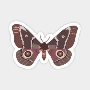 Emperor Moth Magnet