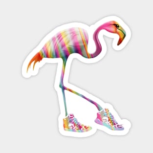 Raimbow Flamingo and shoes  sneakers Magnet