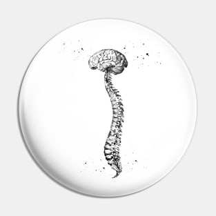 Human Spine with Brain Pin