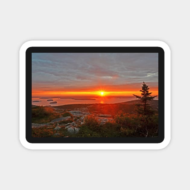 The sunrise from Cadillac Mountain in Acadia National Park Magnet by WayneOxfordPh