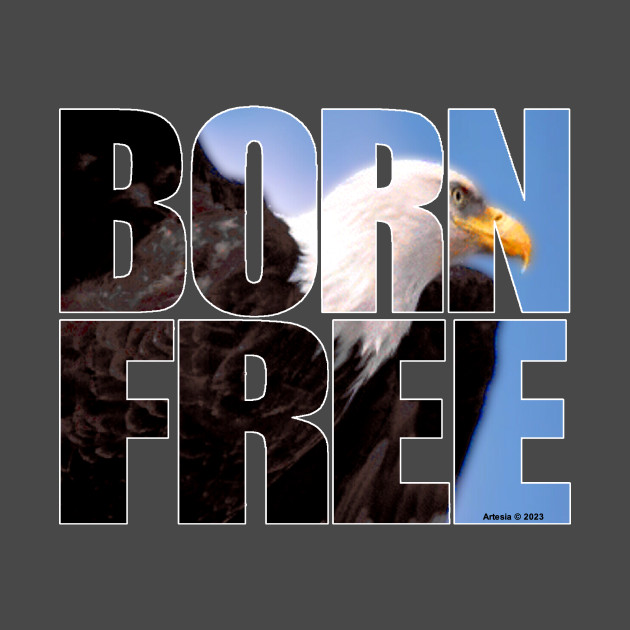 BORN FREE by jrolland