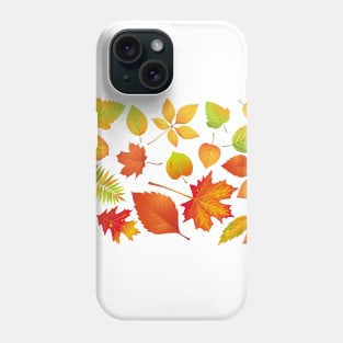 Colourful autumn leaves - Colours of fall season Phone Case