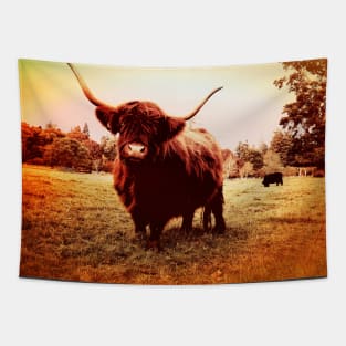 Highlands cow Tapestry