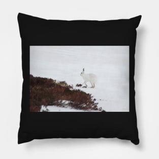 Mountain hare Pillow