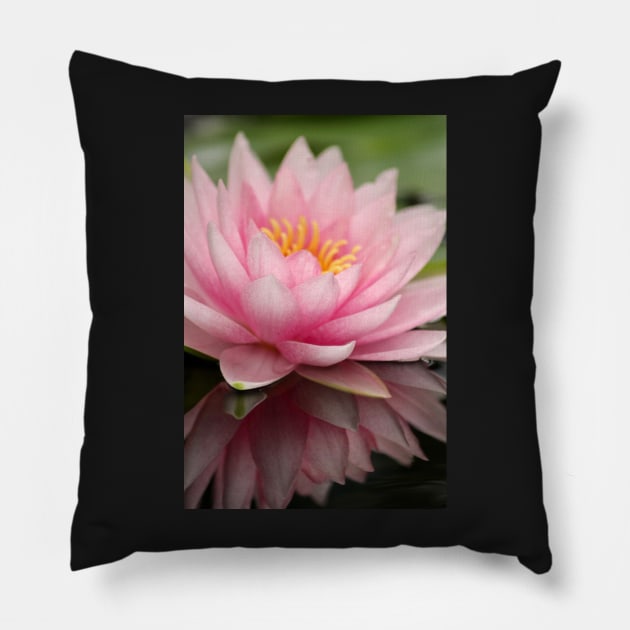 Pink lily Pillow by SandiLin