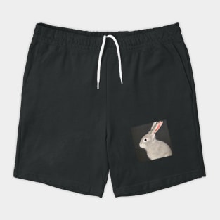 Cute grey rabbit bunny Hare Shorts
