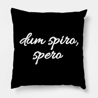 Dum spiro, spero - Latin quote shirt gift idea Pillow