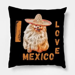 i love mexico Pillow