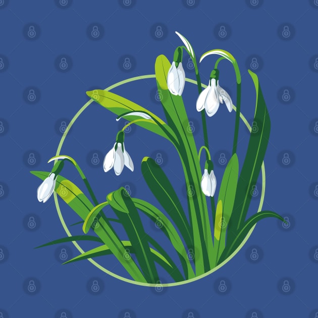 Snowdrop Flowers by lents