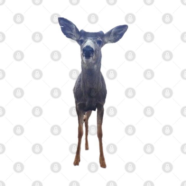 Cute Deer by Lexi Simpson Original Art