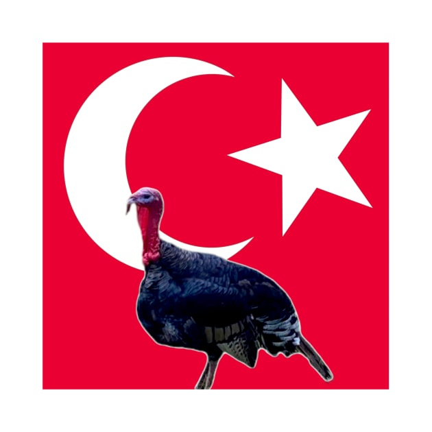 Turkey turkey by bobdijkers