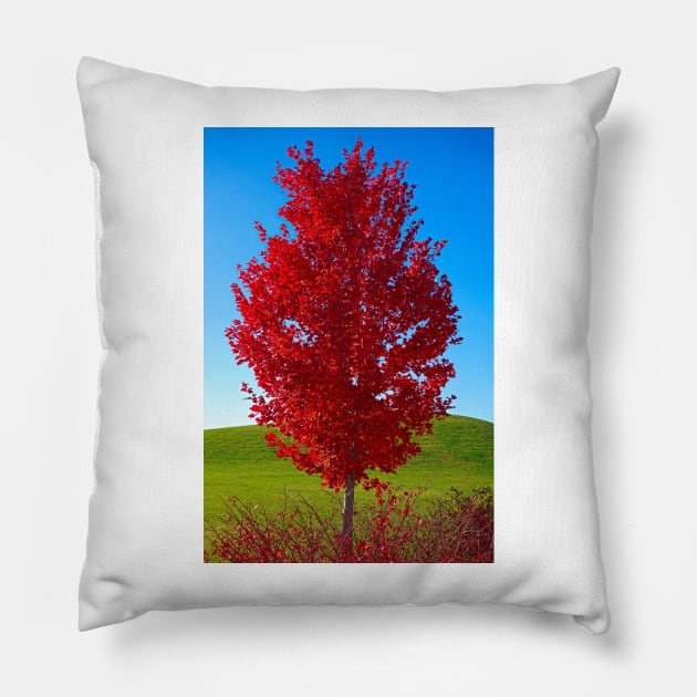 Riverfront Park Primaries Pillow by bobmeyers