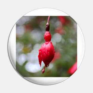 Beautiful pink flower bud on a rainy day Pin